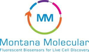 MM_Logo_compressed